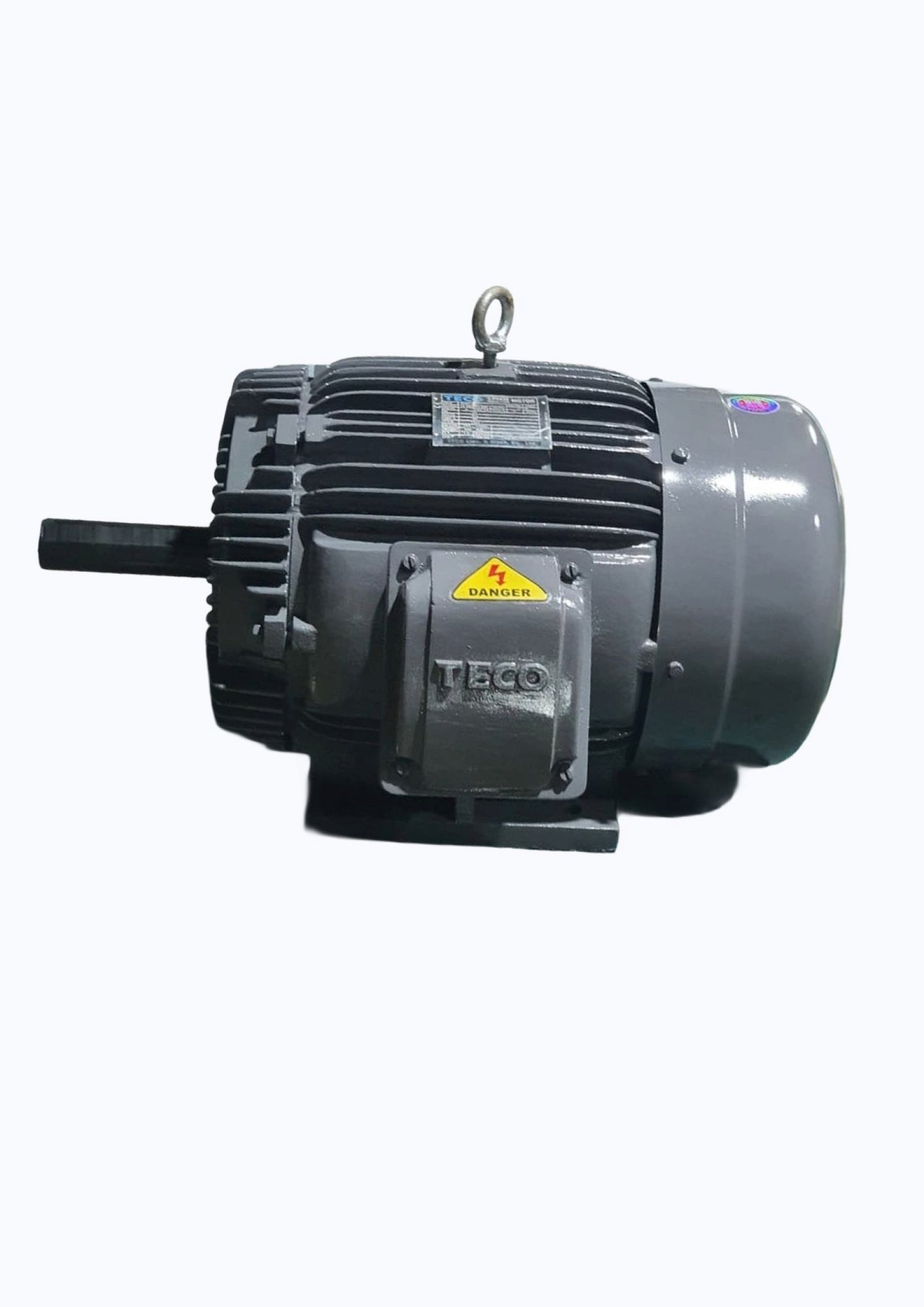 3-Phase Motor (Induction Motor)