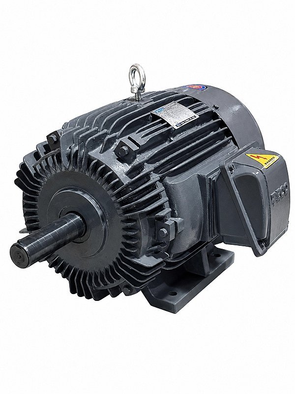3-Phase Motor (Induction Motor)