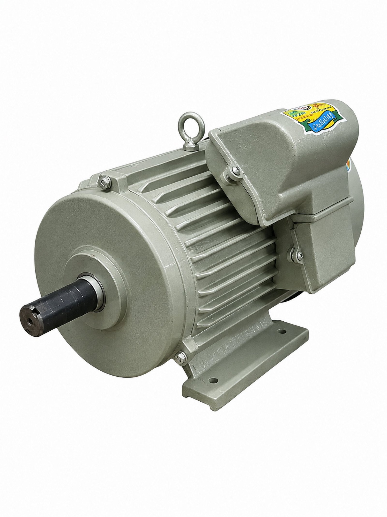 Electric Motor Single Phase
