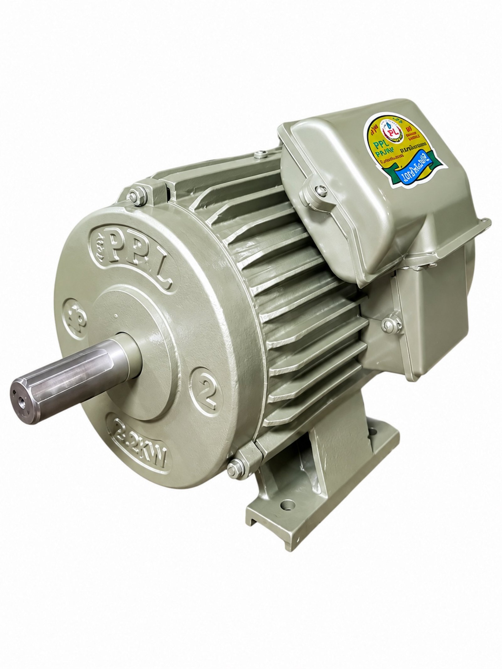 Electric Motor – 2 HP