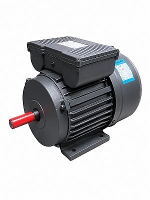 Capacitor Start Motor
