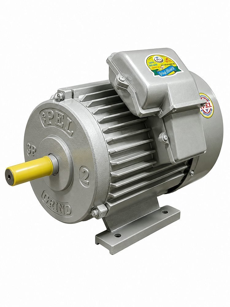 Electric Motor