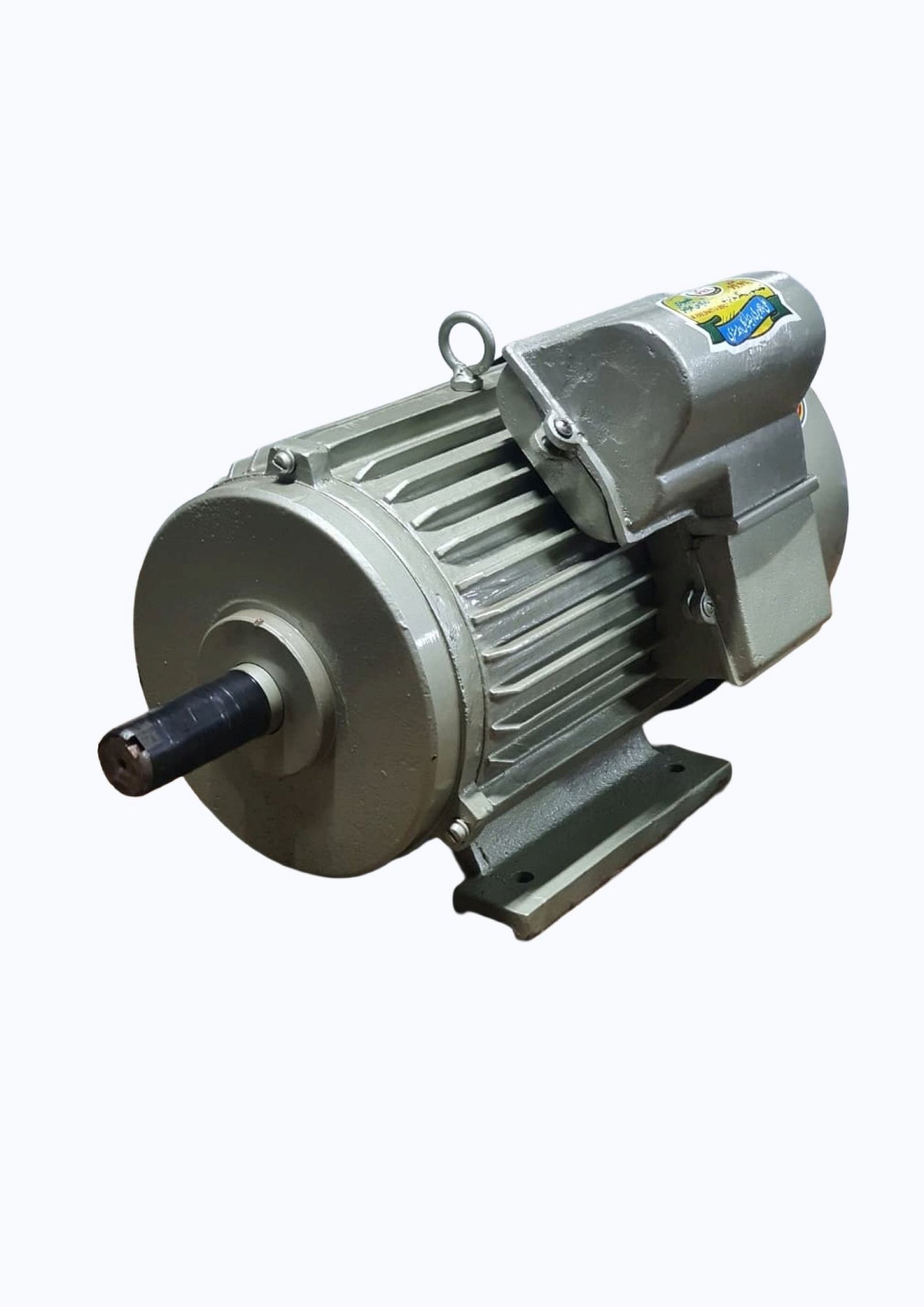 Electric Motor Single Phase